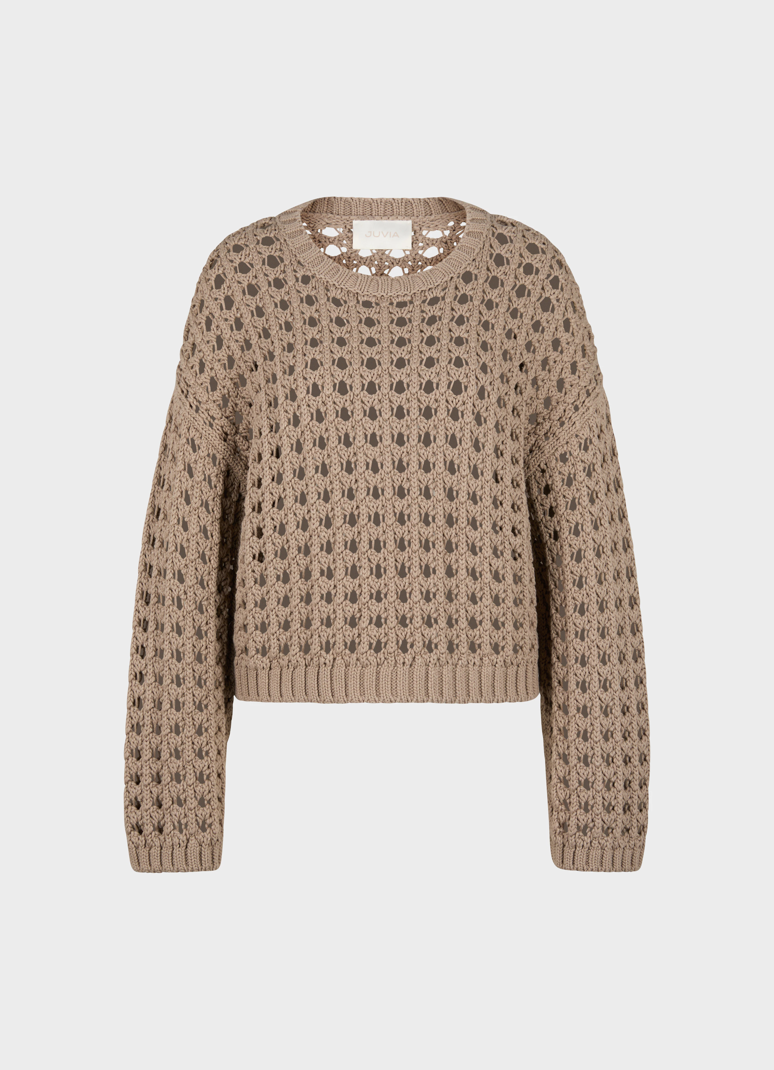 Sweater fungi